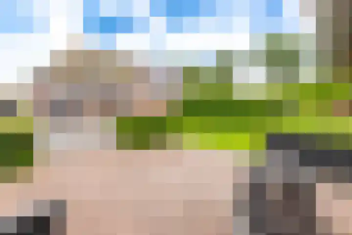 Borgerderstraat 4 Ees thumbnail 38