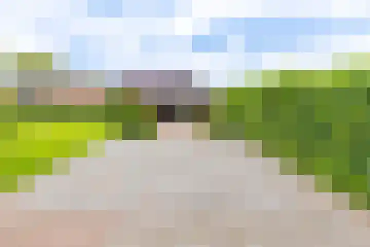 Borgerderstraat 4 Ees thumbnail 39