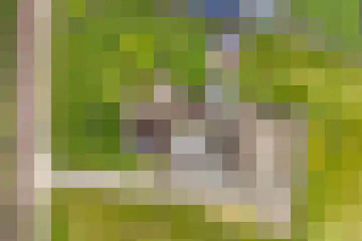 Borgerderstraat 4 Ees thumbnail 4