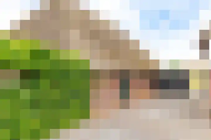 Borgerderstraat 4 Ees thumbnail 41