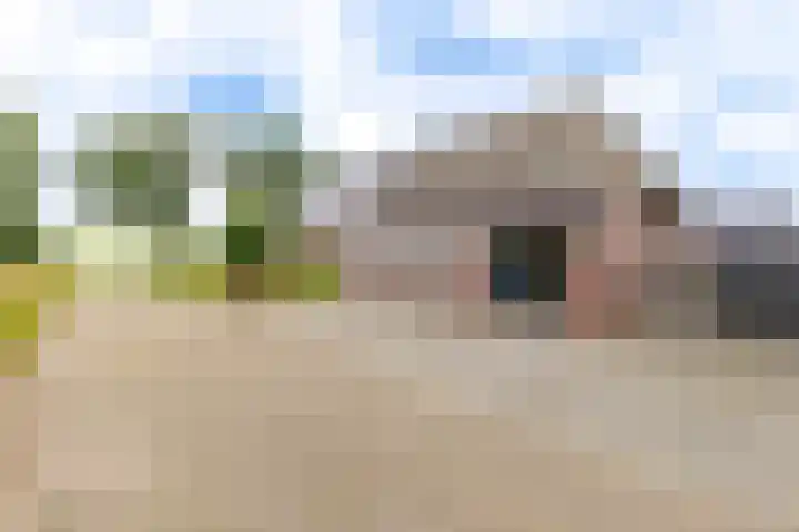Borgerderstraat 4 Ees thumbnail 42