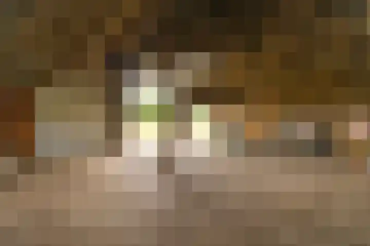Borgerderstraat 4 Ees thumbnail 44