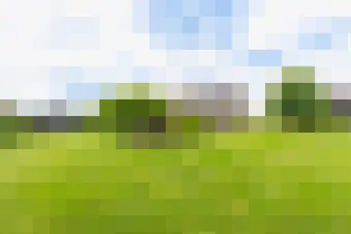 Borgerderstraat 4 Ees thumbnail 5