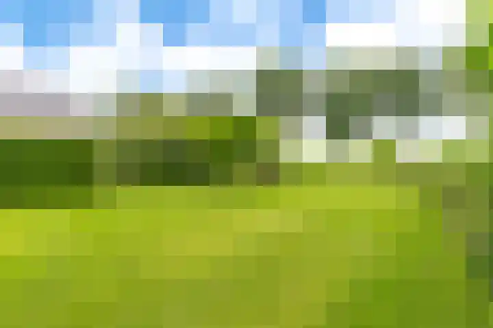 Borgerderstraat 4 Ees thumbnail 6