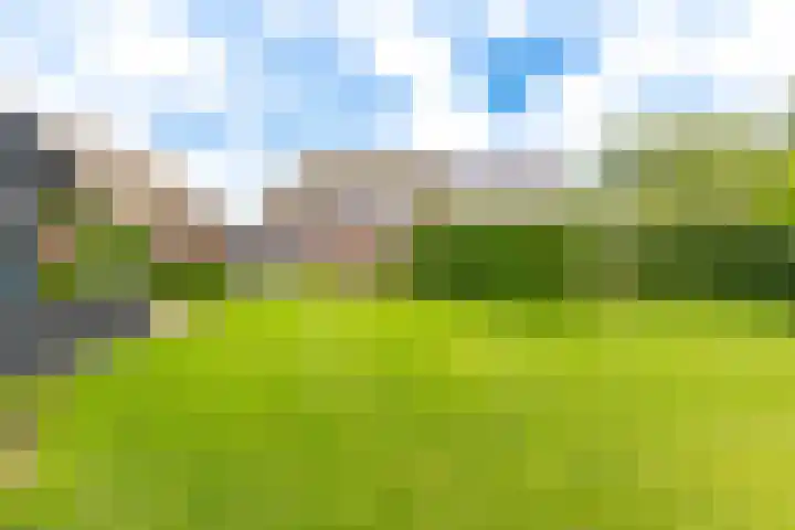 Borgerderstraat 4 Ees thumbnail 7