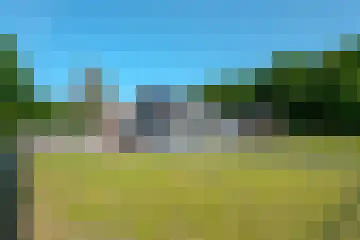 Borgerderweg 21 Odoorn thumbnail 18