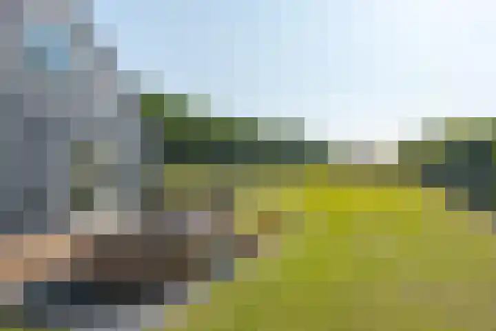 Borgerderweg 21 Odoorn thumbnail 21