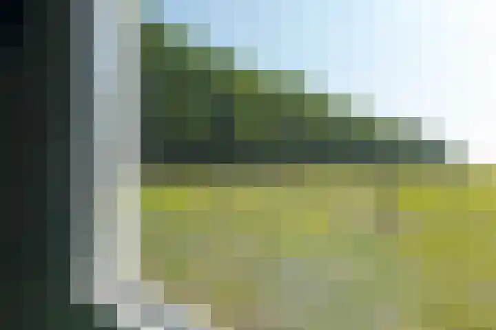 Borgerderweg 21 Odoorn thumbnail 27