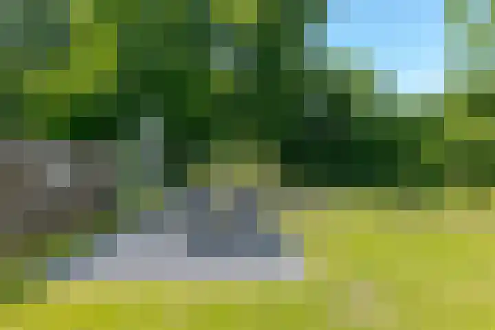 Borgerderweg 21 Odoorn thumbnail 73