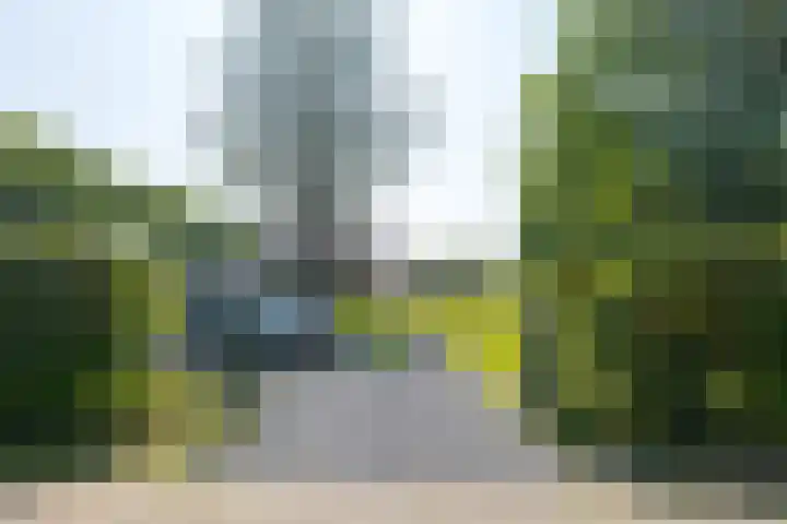 Borgerderweg 21 Odoorn thumbnail 79