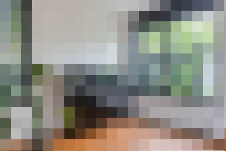 Borgerlant 19 Zuid-Scharwoude thumbnail 15
