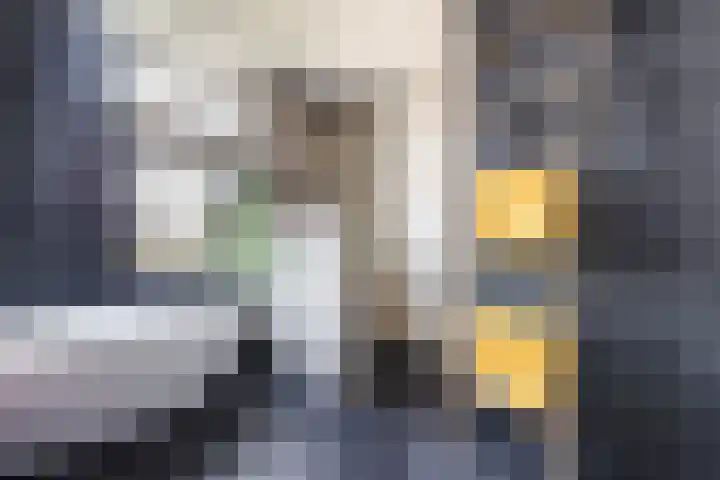 Borgerlant 19 Zuid-Scharwoude thumbnail 33