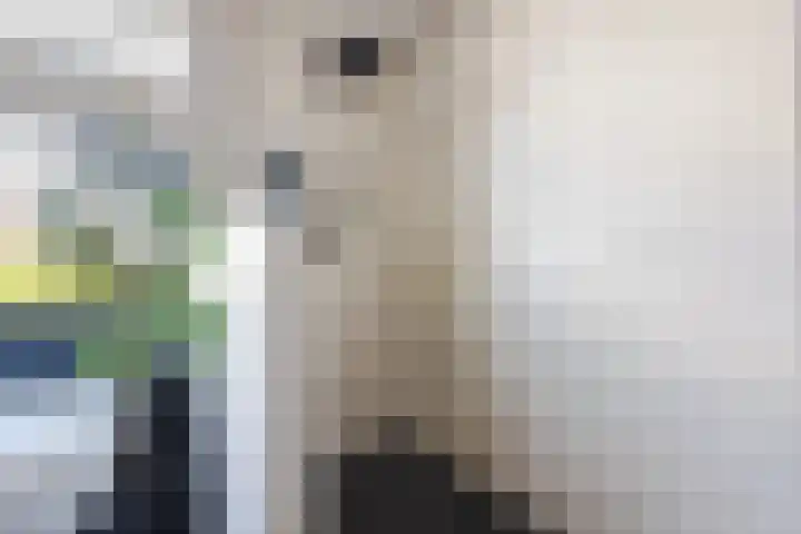 Borgerlant 19 Zuid-Scharwoude thumbnail 34