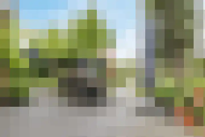 Borgerlant 19 Zuid-Scharwoude thumbnail 44