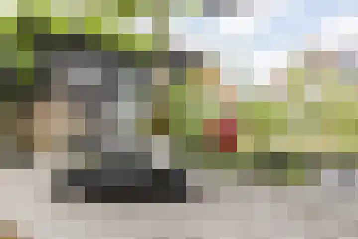 Borgerlant 19 Zuid-Scharwoude thumbnail 49