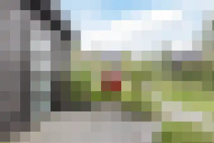 Borgerlant 19 Zuid-Scharwoude thumbnail 51