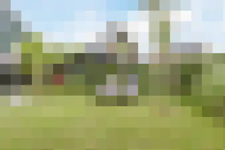 Borgerlant 19 Zuid-Scharwoude thumbnail 54