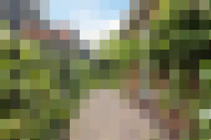 Borgerlant 19 Zuid-Scharwoude thumbnail 58