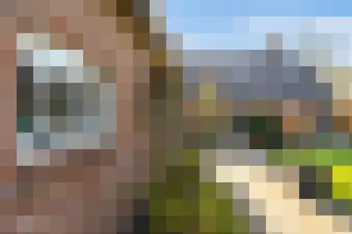 Borgerspark 106 Veendam thumbnail 37