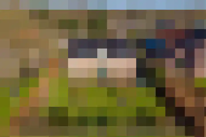 Borgerspark 106 Veendam thumbnail 45