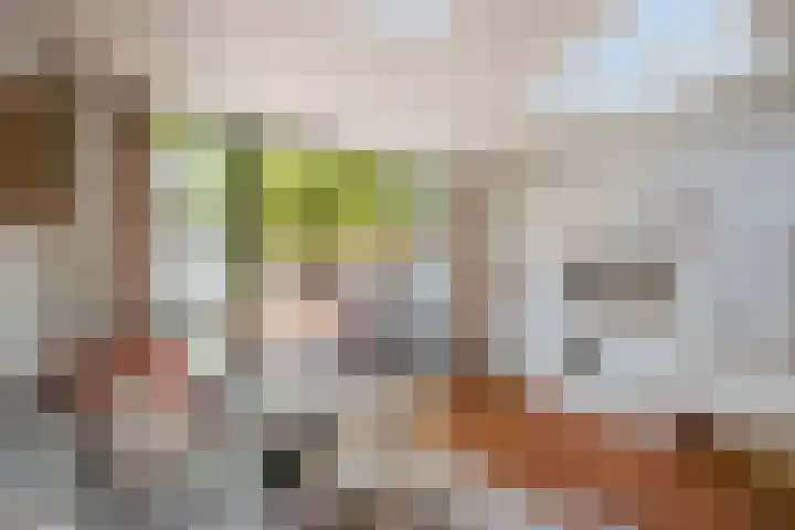 Borgerstraat 208 H Amsterdam thumbnail 13
