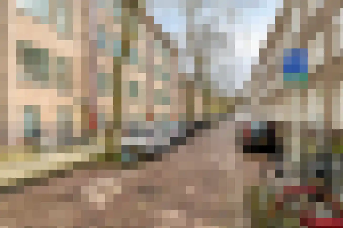 Borgesiusstraat 29 B Rotterdam thumbnail 23