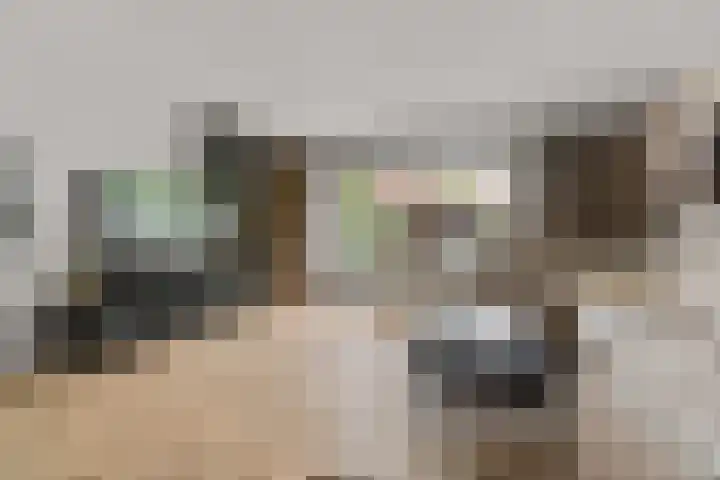Borgharenpad 15 Arnhem thumbnail 13