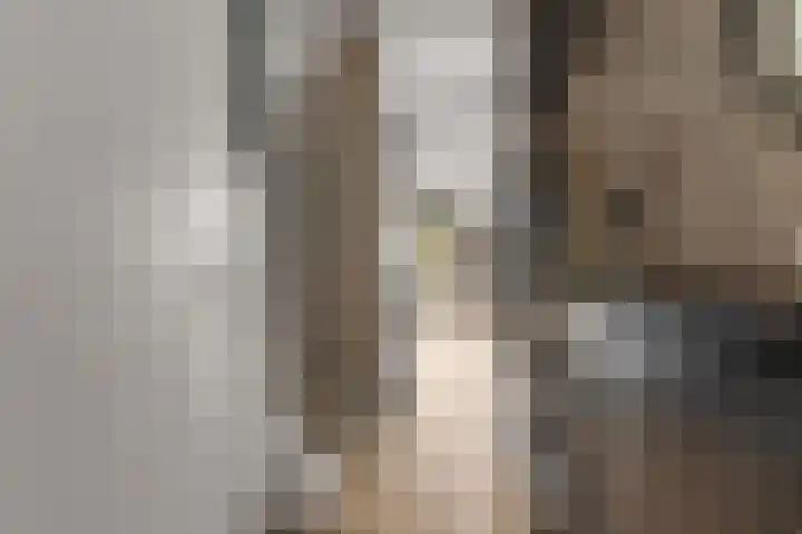 Borgharenpad 15 Arnhem thumbnail 15