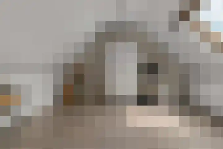 Borgharenpad 15 Arnhem thumbnail 30