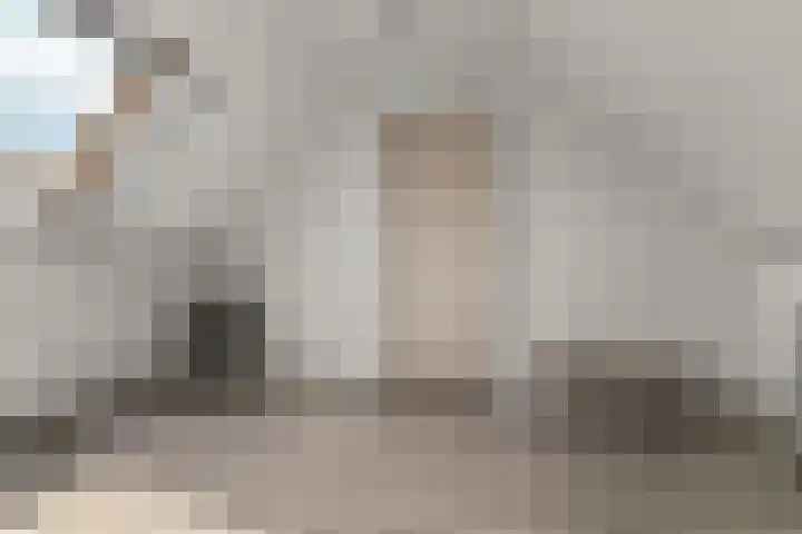 Borgharenpad 15 Arnhem thumbnail 31