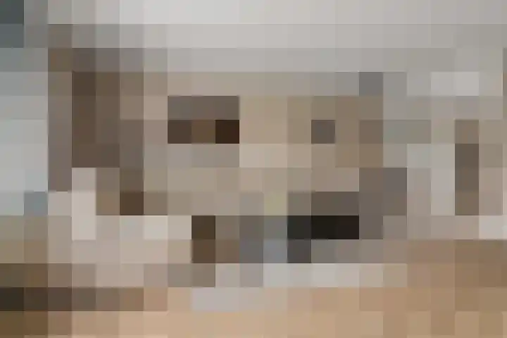 Borgharenpad 15 Arnhem thumbnail 4