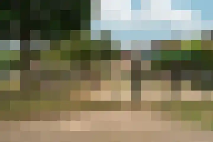 Borgharenpad 15 Arnhem thumbnail 53