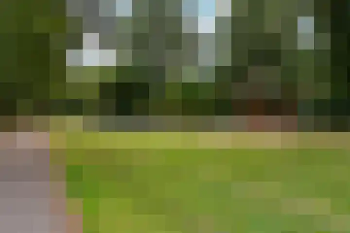 Borgharenpad 15 Arnhem thumbnail 55