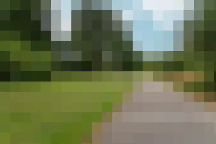 Borgharenpad 15 Arnhem thumbnail 56