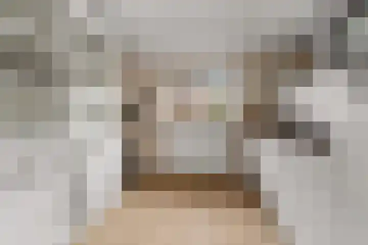 Borgharenpad 15 Arnhem thumbnail 9