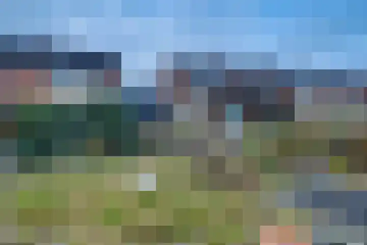 Borgman 17 Rietmolen thumbnail 23