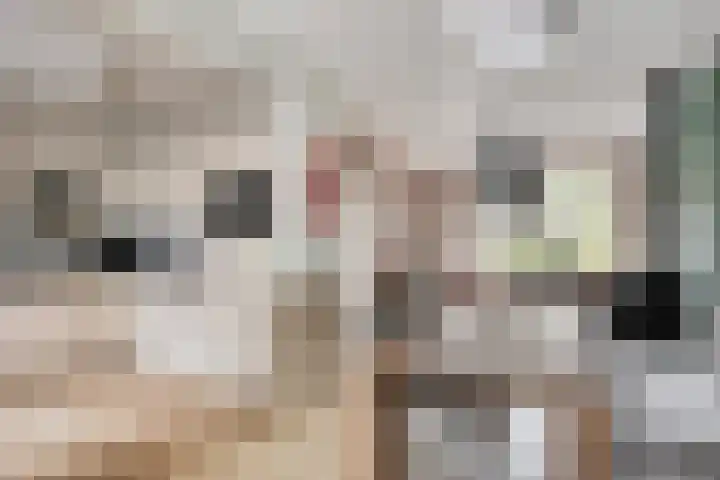 Borgstuk 38 Epe thumbnail 11