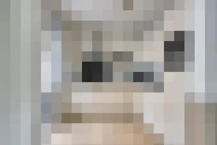 Borgstuk 38 Epe thumbnail 12