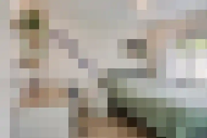 Borgstuk 38 Epe thumbnail 19