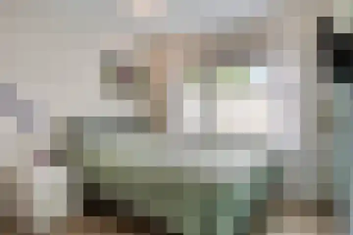 Borgstuk 38 Epe thumbnail 20