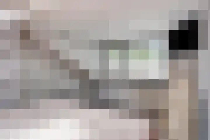 Borgstuk 38 Epe thumbnail 26