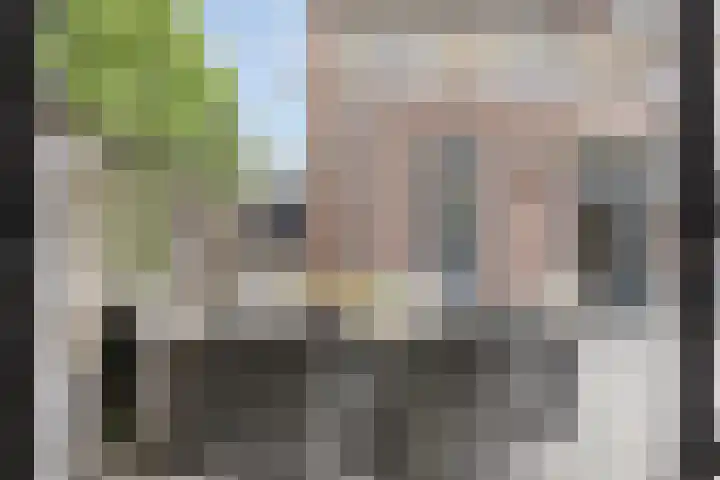 Borgstuk 38 Epe thumbnail 37