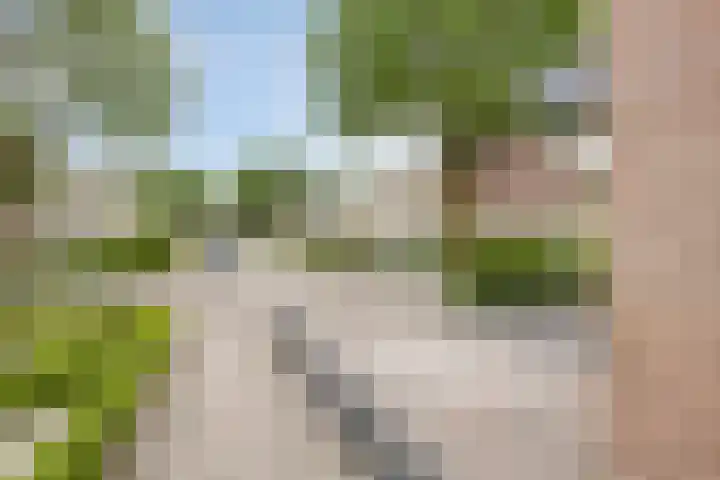 Borgstuk 38 Epe thumbnail 40
