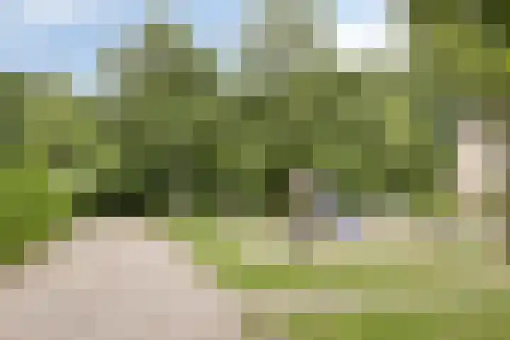 Borgstuk 38 Epe thumbnail 41