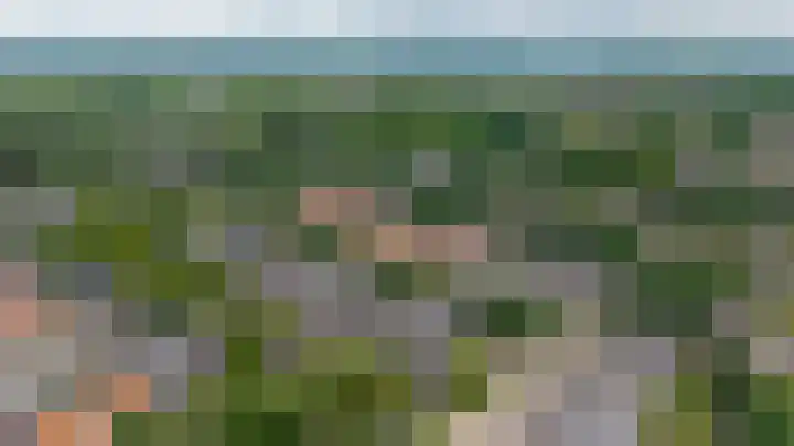 Borgstuk 38 Epe thumbnail 42