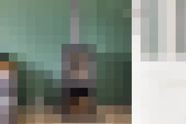 Borgstuk 38 Epe thumbnail 9