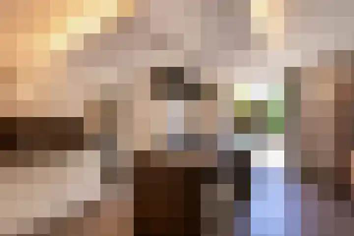 Borgvliet 13 Oss thumbnail 11