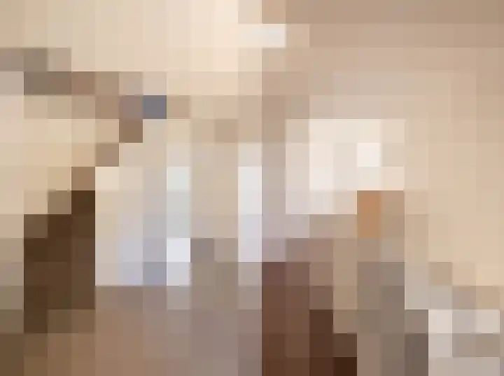 Borgvliet 13 Oss thumbnail 14