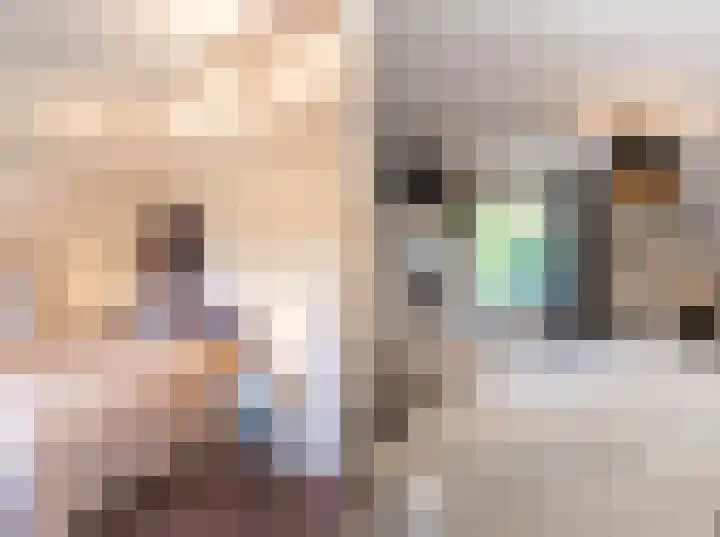 Borgvliet 13 Oss thumbnail 16