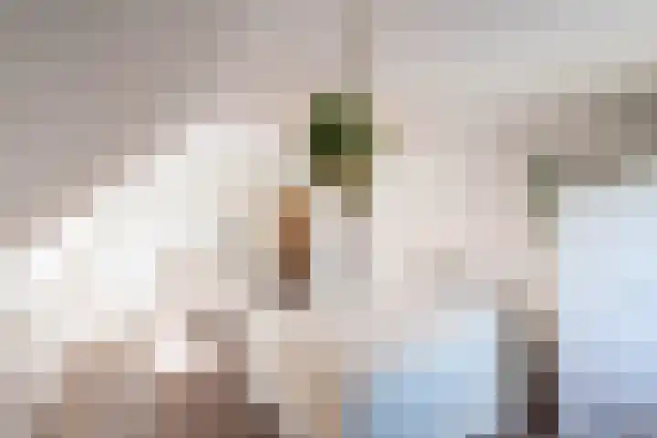 Borgvliet 13 Oss thumbnail 17